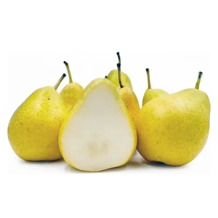 Beauty Pear