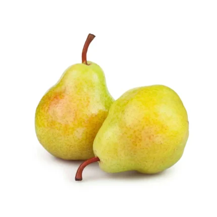 Imported Green Pear